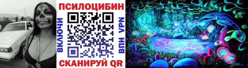 Галлюциногенные грибы Psilocybine cubensis  Иланский 